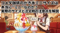 コメダ珈琲のかき氷ミニサイズは本当に"ミニ"なのか？実際のサイズと注文時の注意点を解説